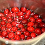 Sparkling Cranberries