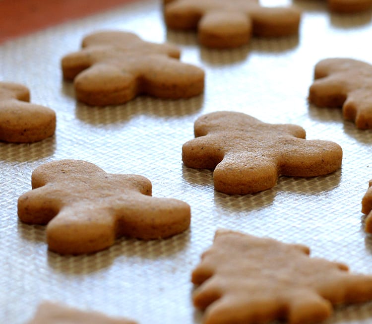 Vegan Gingerbread Cookies with Royal Icing