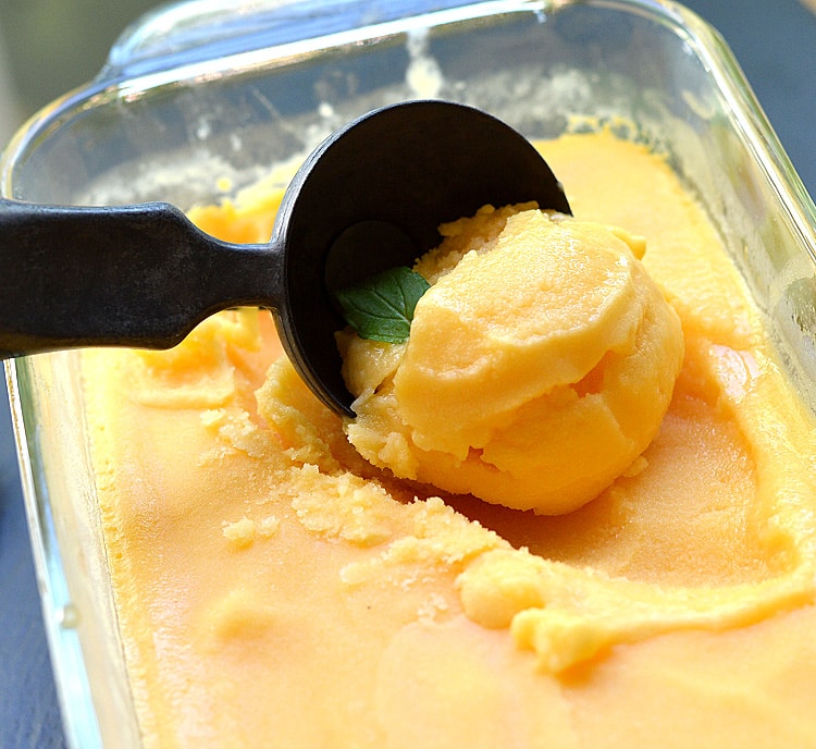 Vegan Cantaloupe Ice Cream