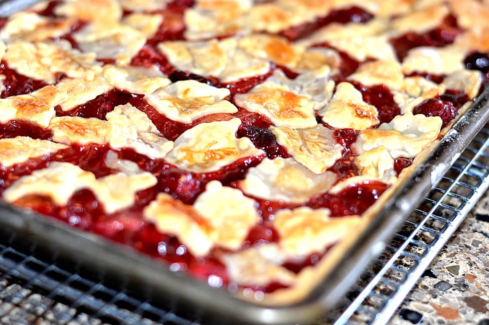 VEGAN Apple Cranberry Slab Pie