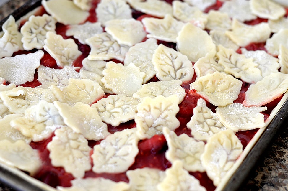 VEGAN Apple Cranberry Slab Pie