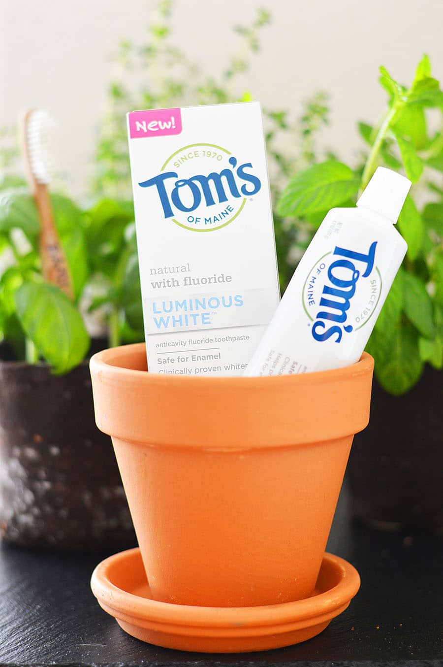 April is Earth Month & I'm Upcycling Bamboo Toothbrushes! @TomsofMaine @Walmart #MyPearlyWhites #LuminousWhites