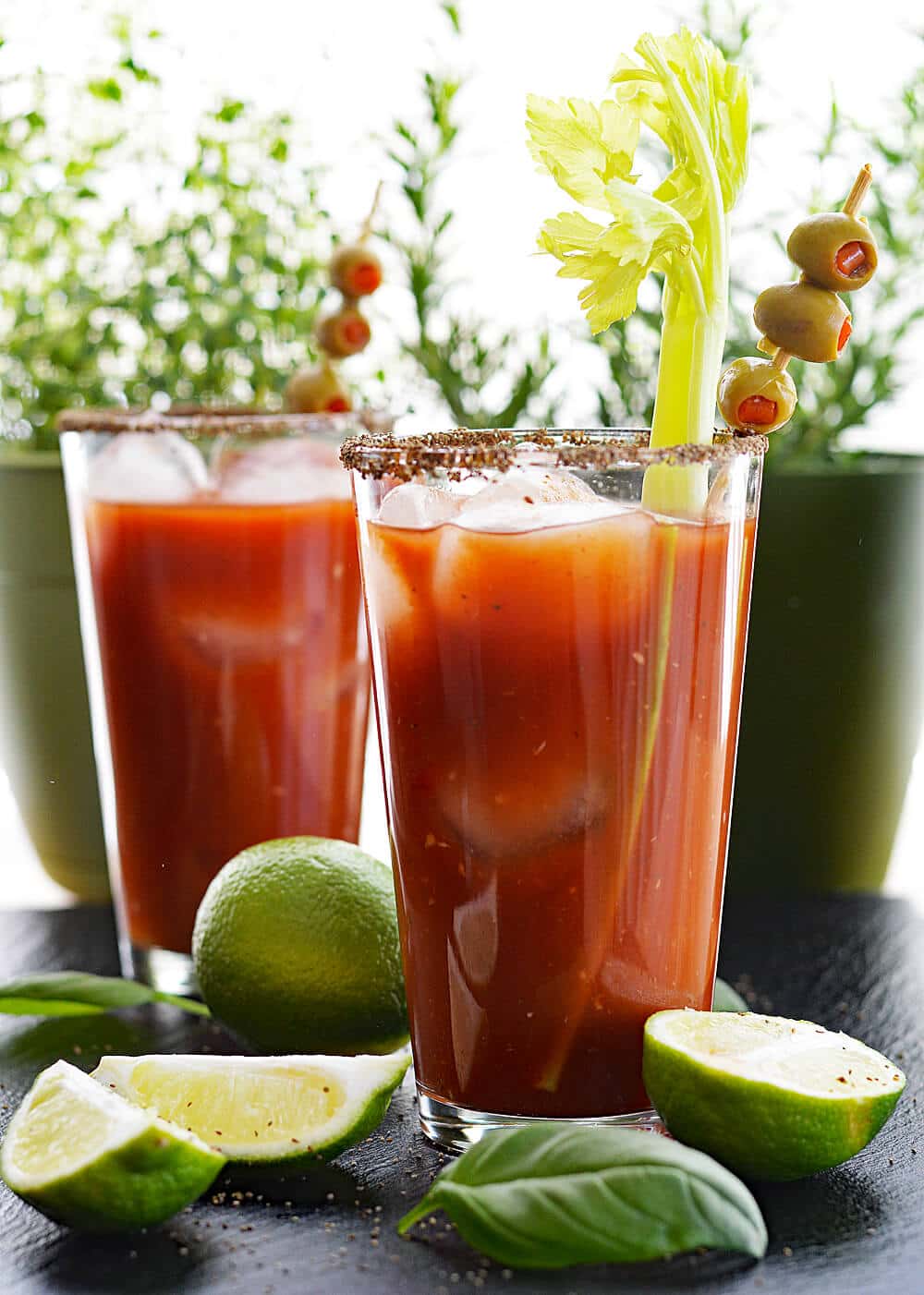 Vegan Bloody Mary + Virgin Mary TheVegLife