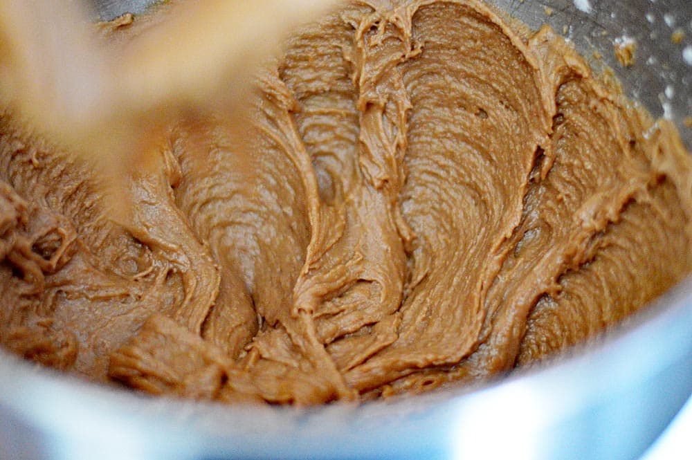 Mexican Crinkle Cookies BATTER