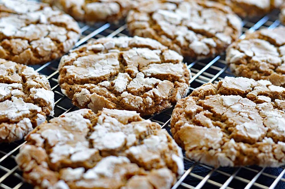 Mexican Crinkle Cookies