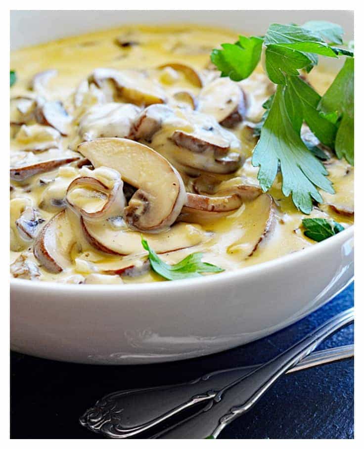 Quick and Easy VEGAN Cream of Mushroom Soup - TheVegLife