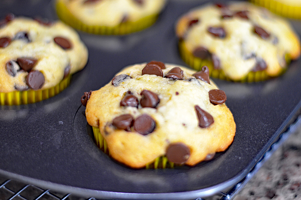 Banana Chocolate Chip Muffins