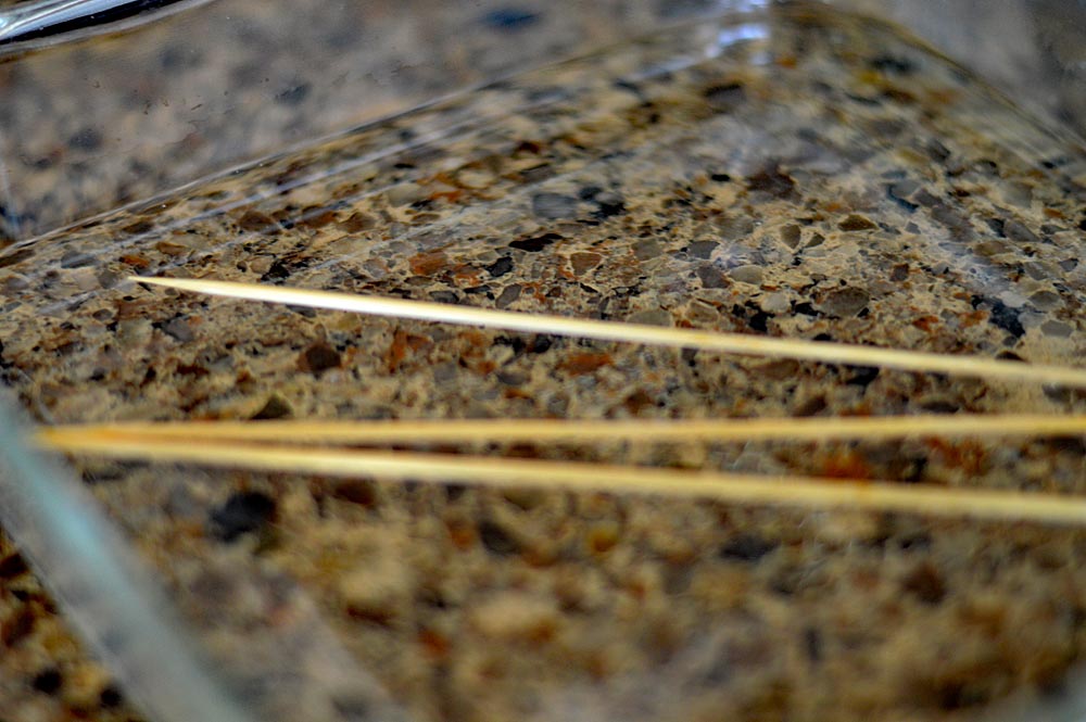 Soaking the wood skewers