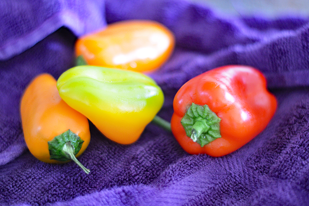 Red Yellow and Orange peppers on a purple towel for Cowboy Caviar a/k/a "Texas Caviar"