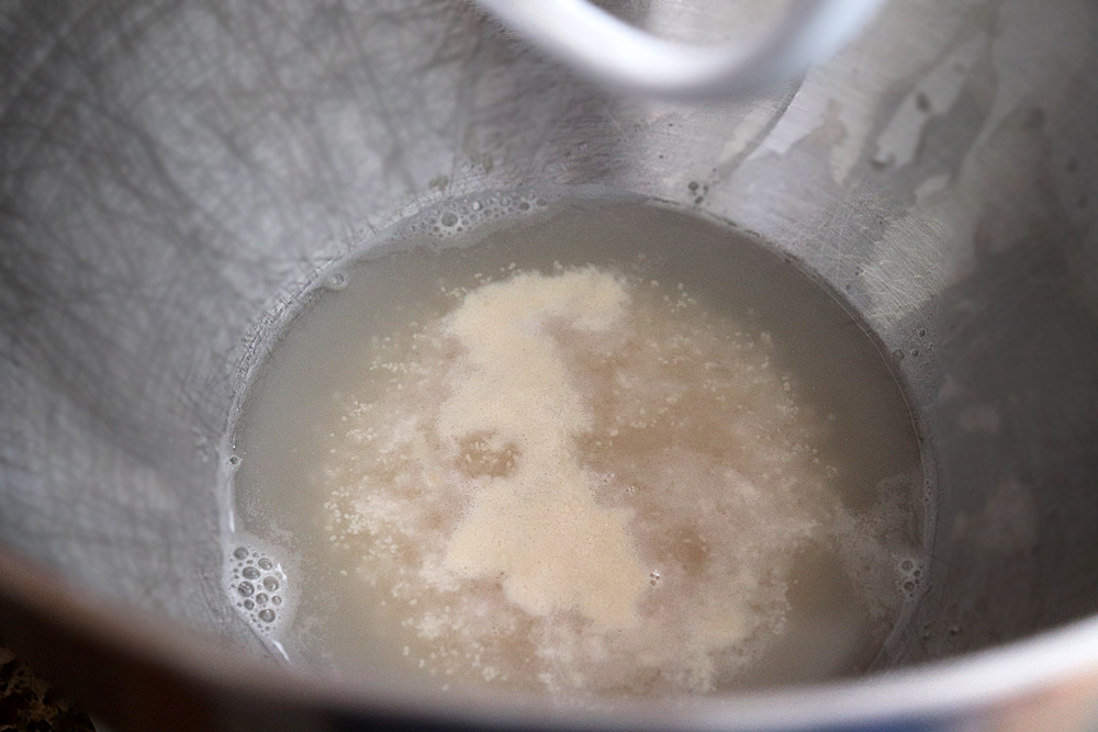 Proofing the yeast for the Naan Bread