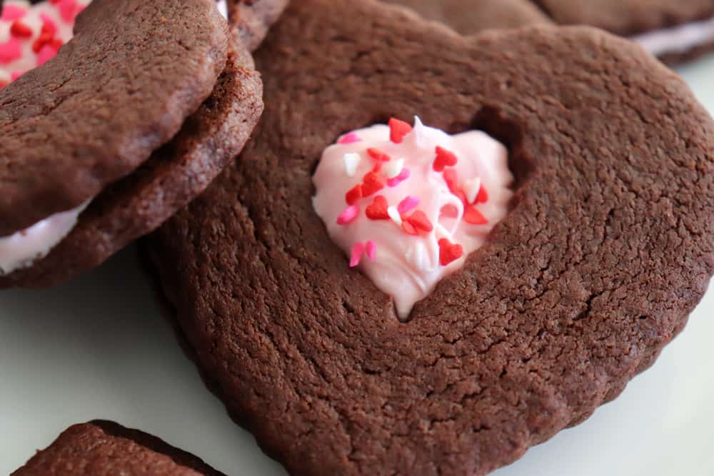 Vegan Chocolate Sugar Cookies hero shot