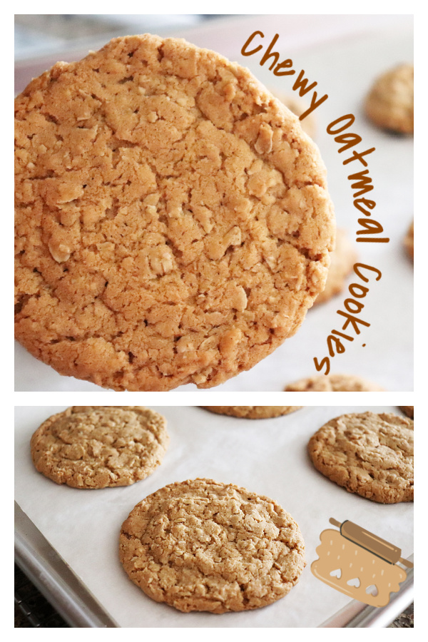 CHEWY OATMEAL COOKIE PIN