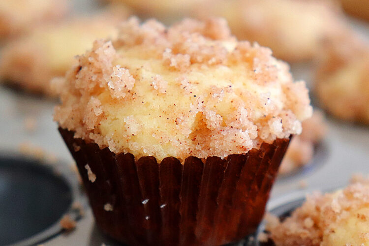 Mini Vegan Coffee Cake Muffins HERO shot