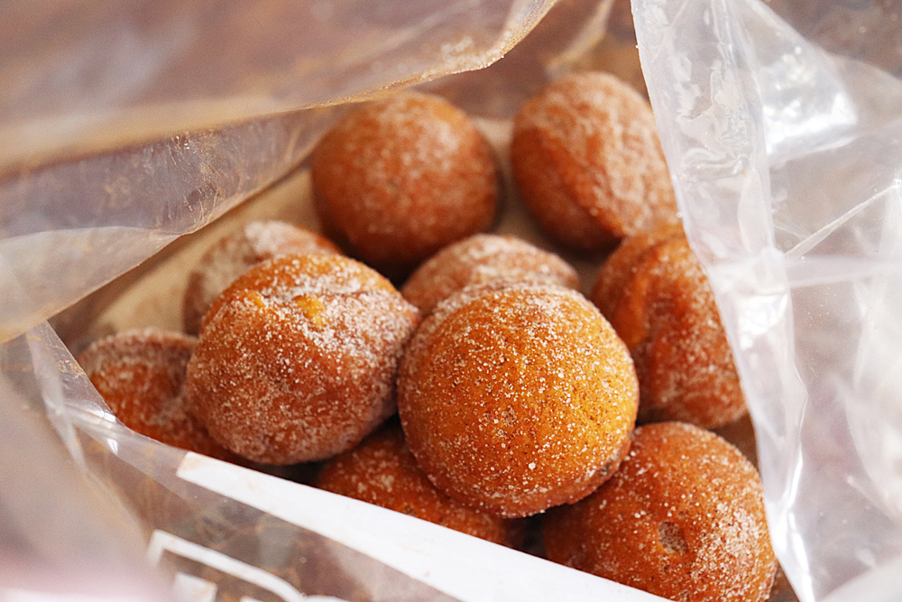 Cinnamon Sugared Donut Holes