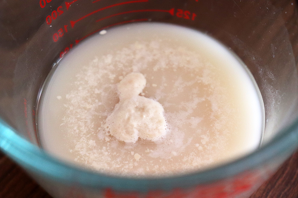 Activating the yeast