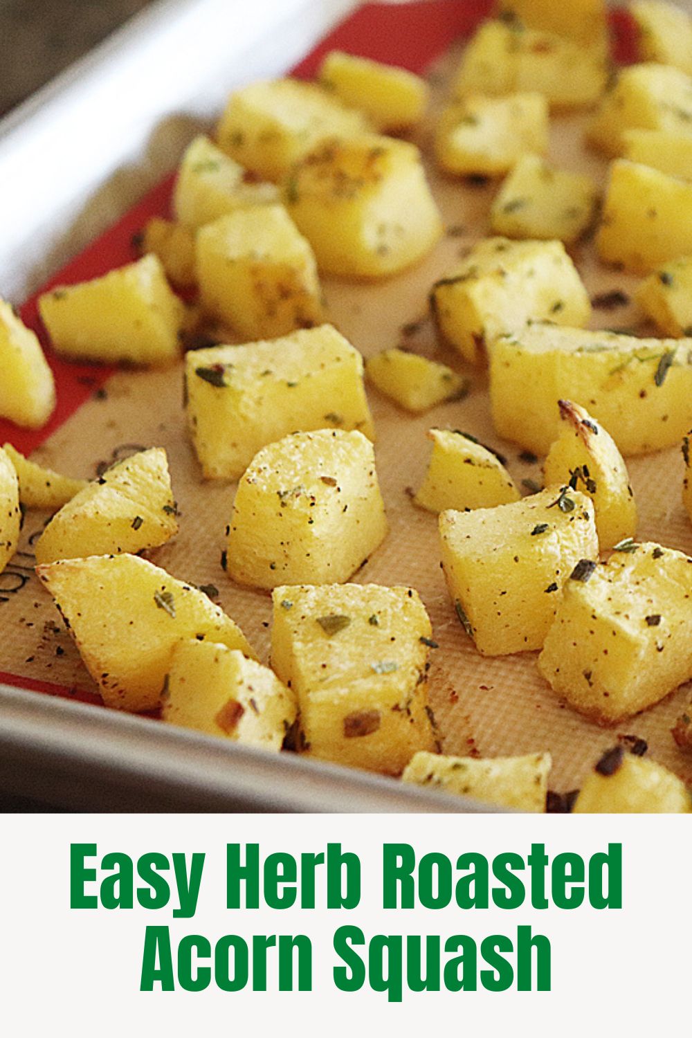 PIN for Easy Roasted Acorn Squash Recipe