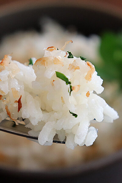 Bite shot of Easy Coconut Jasmine Rice Recipe